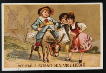 Testu & Massin carte réclame chromo Paris 1878-1883 1974.50.743  Photo