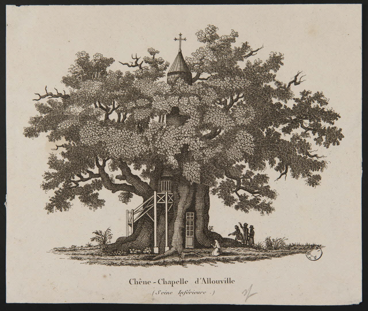 estampe Chêne - Chapelle d'Allouville  (Seine Inférieure.) 1977.23.39 Photo