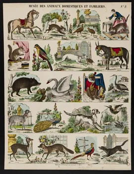 Charles Nicolas Gangel estampe MUSEE DES ANIMAUX DOMESTIQUES ET FAMILIERS. Metz 1852-1858 1977.23.8  Photo