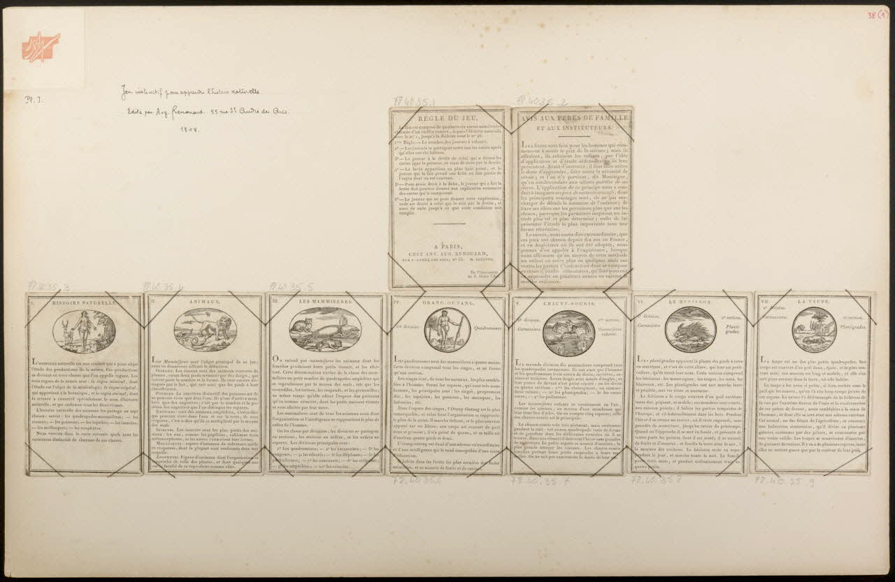 cartes à jouer Jeu instructif pour apprendre l'histoire naturelle 1978.40.35.1/9 Photo