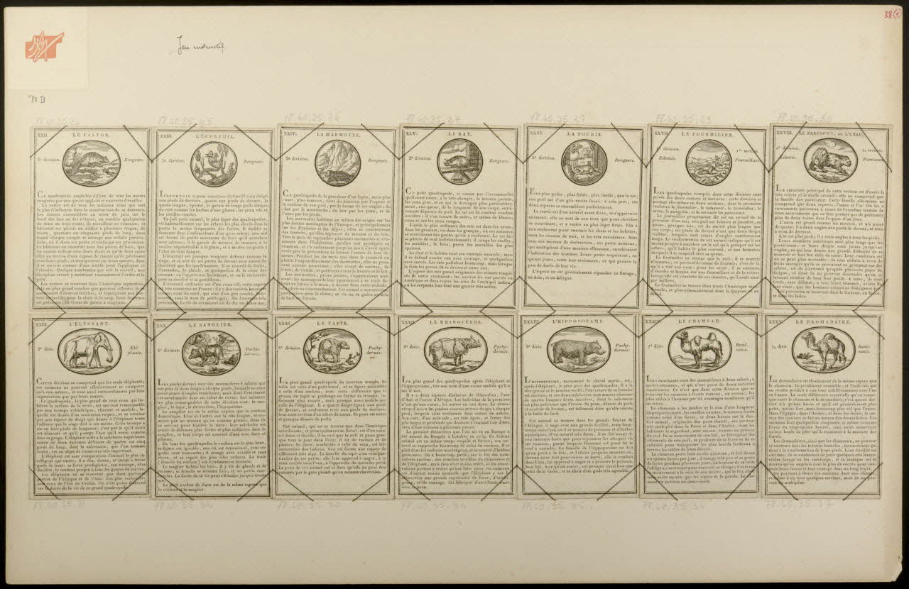 cartes à jouer Jeu instructif 1978.40.35.24/37 Photo