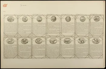 cartes à jouer Jeu instructif 1978.40.35.24/37 Photo