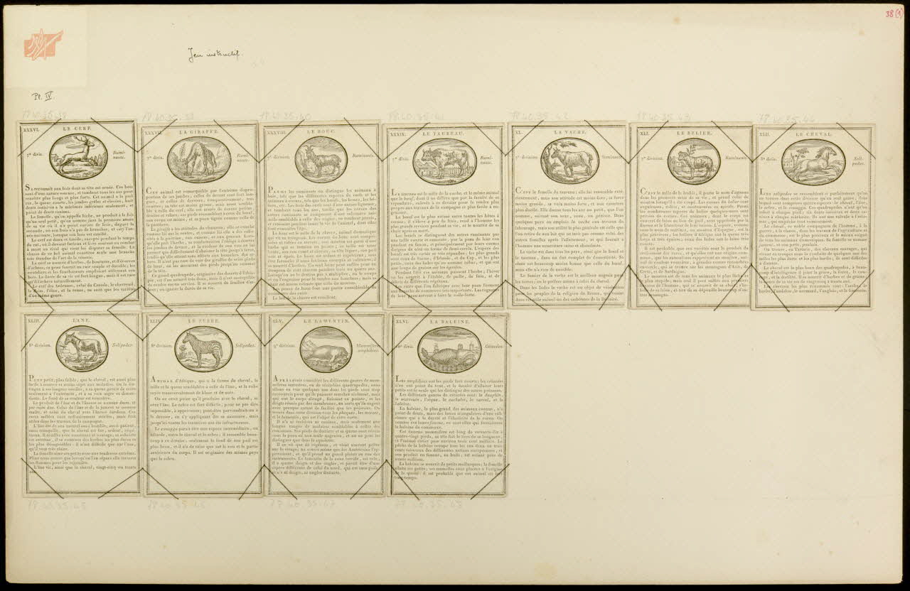 cartes à jouer Jeu instructif. 1978.40.35.38/48 Photo