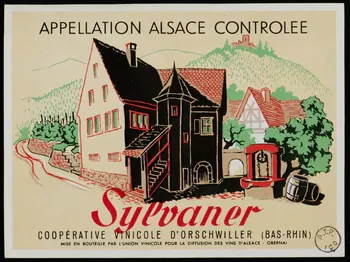 estampe Sylvaner 1972.58.75.1/2  Photo
