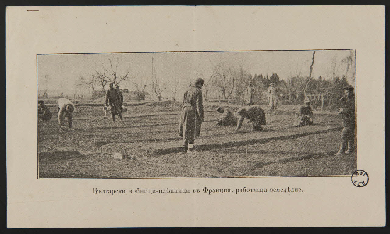 estampe Souvenirs de la guerre de 1914-1918 1978.99.1 Photo