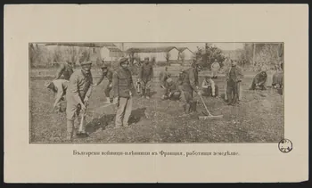 estampe Souvenirs de la guerre de 1914-1918 1978.99.2  Photo