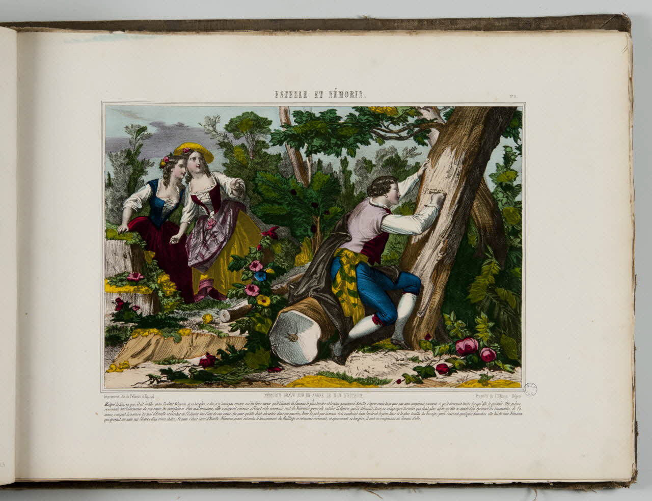 album ESTELLE ET NEMORIN.  NEMORIN GRAVE SUR UN ARBRE LE NOM D'ESTELLE. 1979.82.163.144 Photo