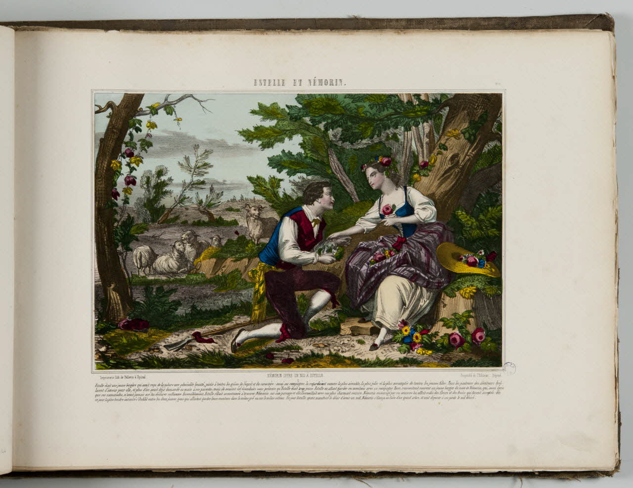 album ESTELLE ET NEMORIN.  NEMORIN OFFRE UN NID A ESTELLE. 1979.82.163.145 Photo