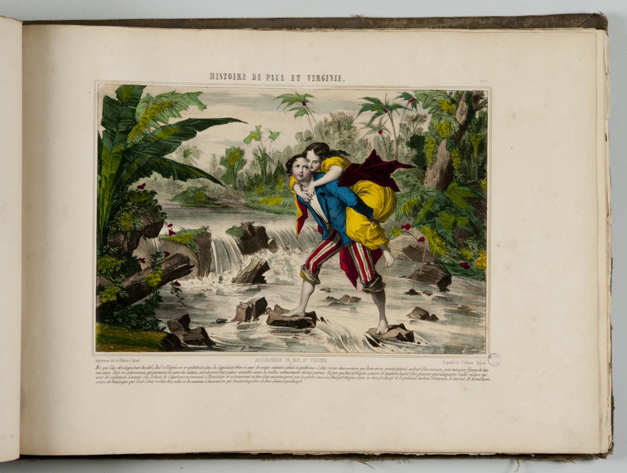 album HISTOIRE DE PAUL ET VIRGINIE.  ADOLESCENCE DE PAUL ET VIRGINIE. 1979.82.163.148 Photo