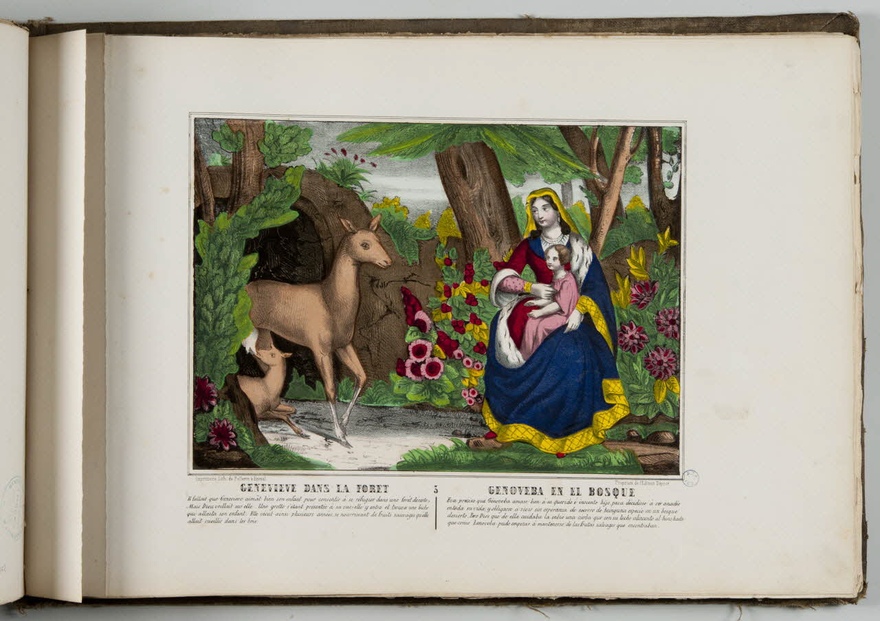 album GENEVIEVE DANS LA FORET 1979.82.163.153 Photo