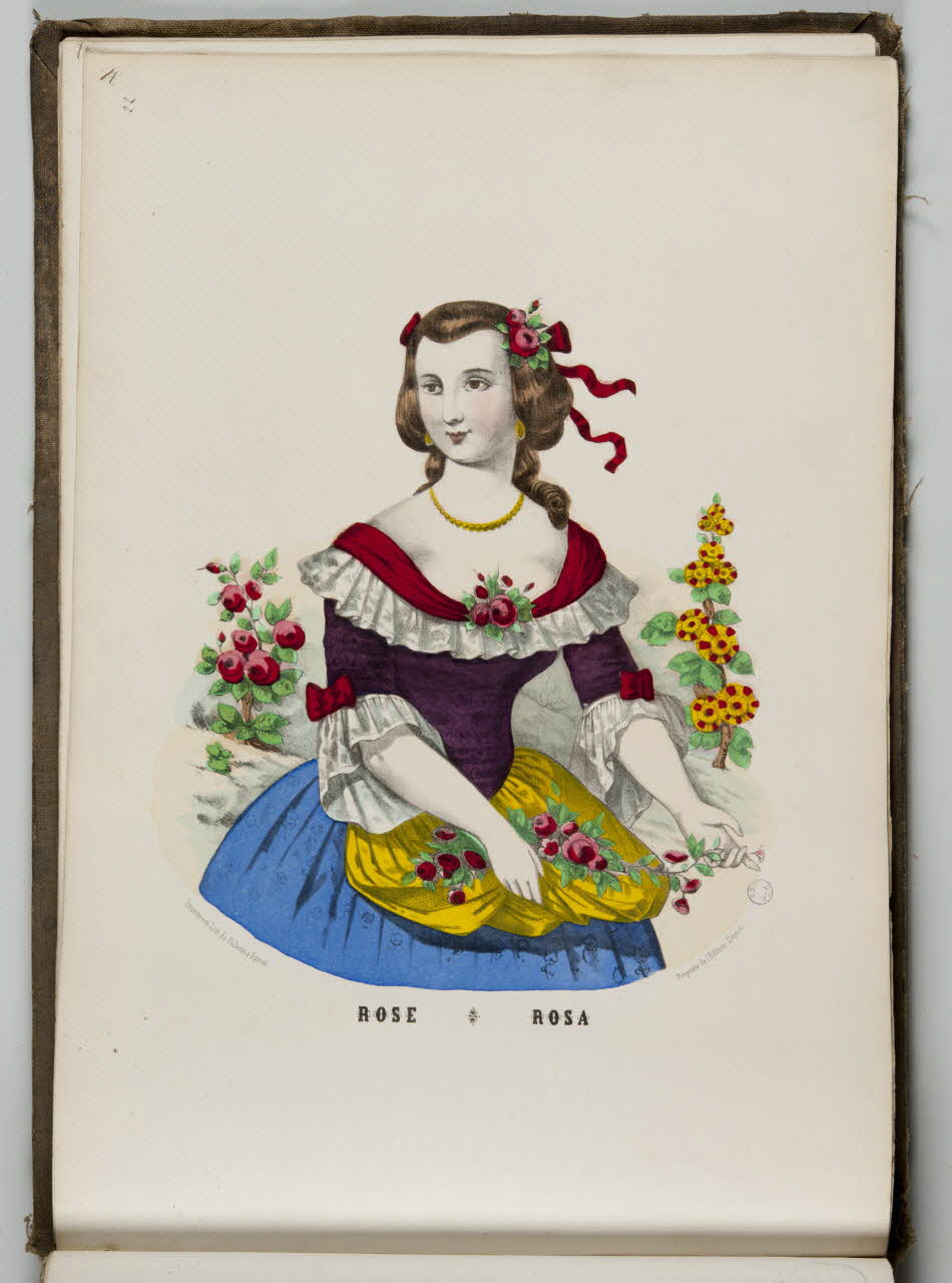 album ROSE 1979.82.163.208 Photo