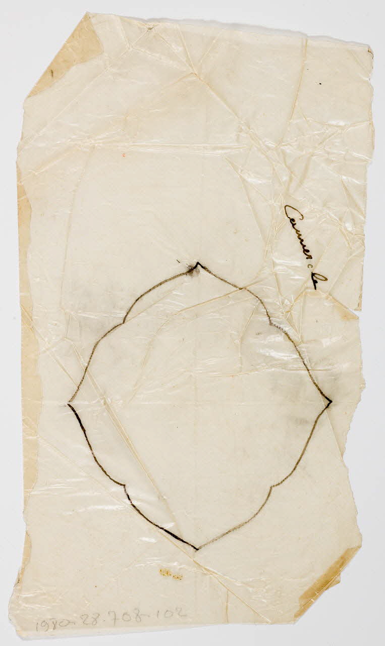 dessin Poncif à motif végétal 1980.28.708.102 Photo