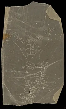 dessin Poncif à motif végétal 1980.28.708.12 Photo