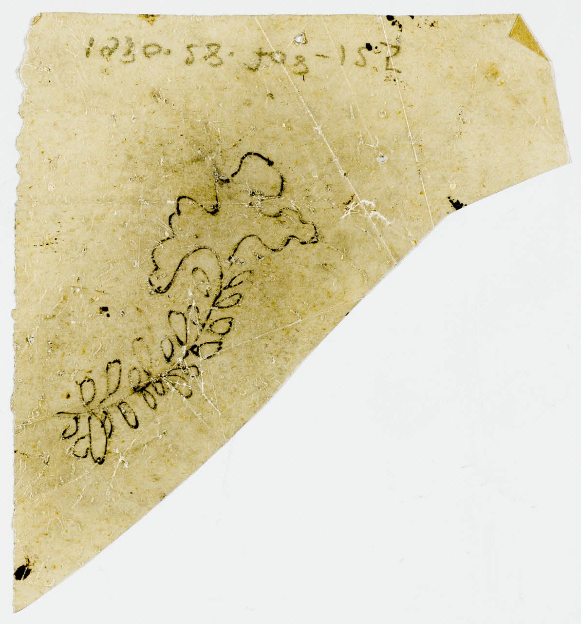 dessin Poncif à motif végétal 1980.28.708.125 Photo