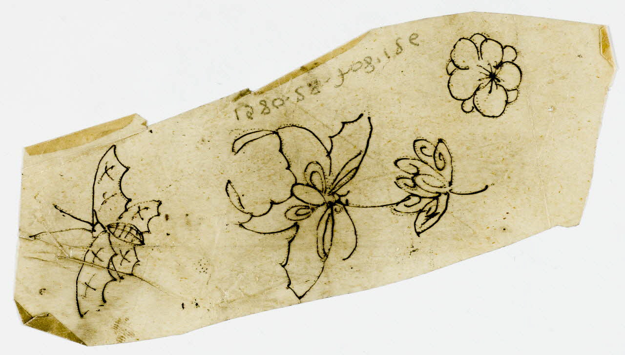 dessin Poncif à motif végétal 1980.28.708.126 Photo