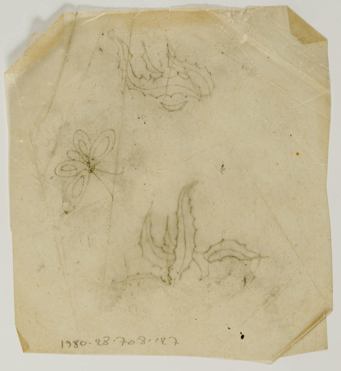 dessin Poncif représentant un papillon 1980.28.708.127 Photo