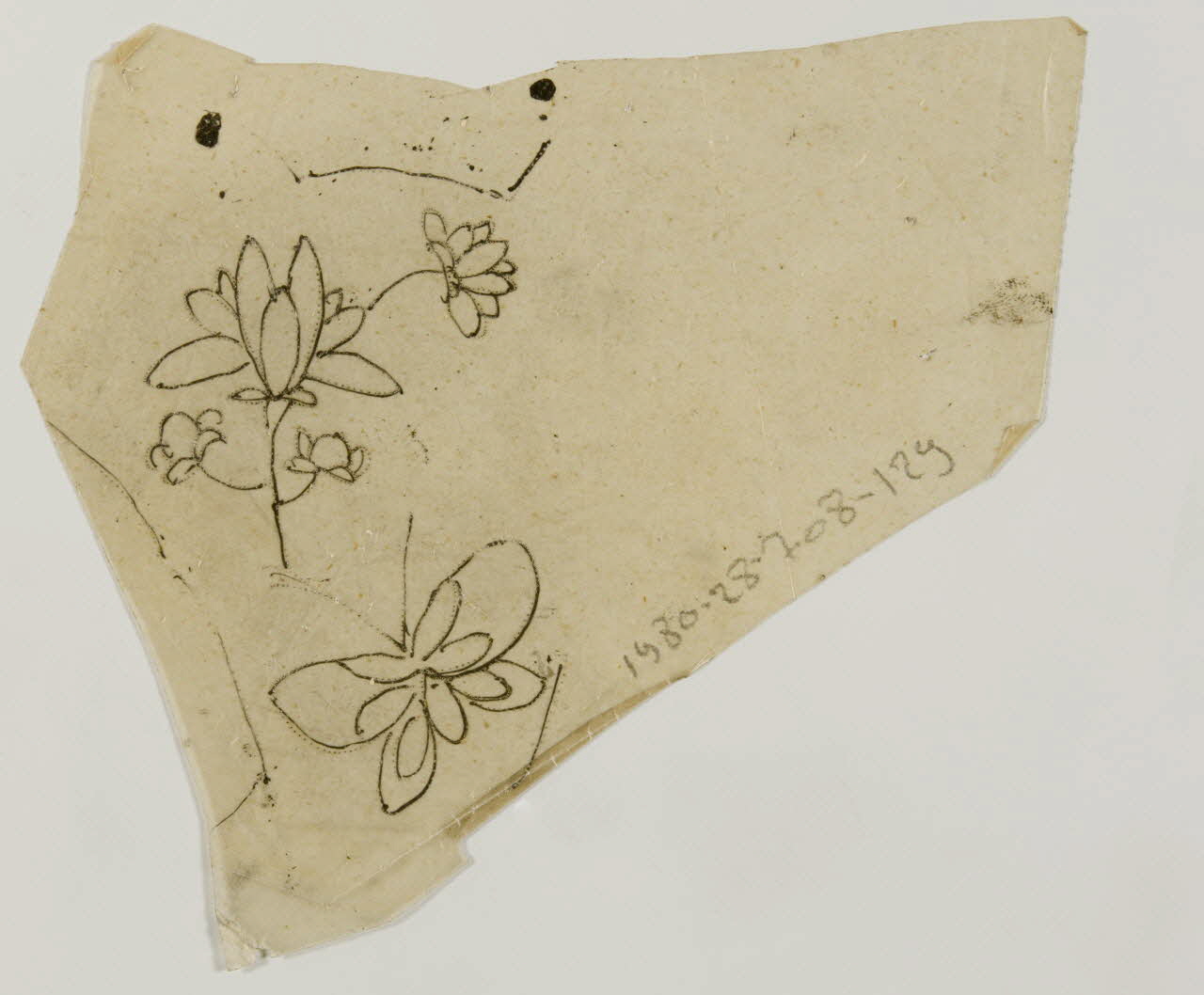 dessin Poncif représentant un papillon et une fleur 1980.28.708.129 Photo