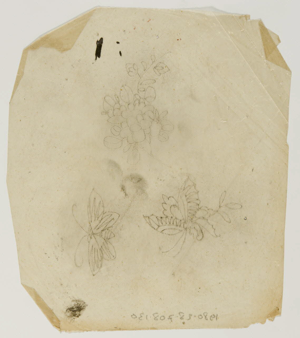 dessin Poncif représentant un papillon 1980.28.708.130 Photo