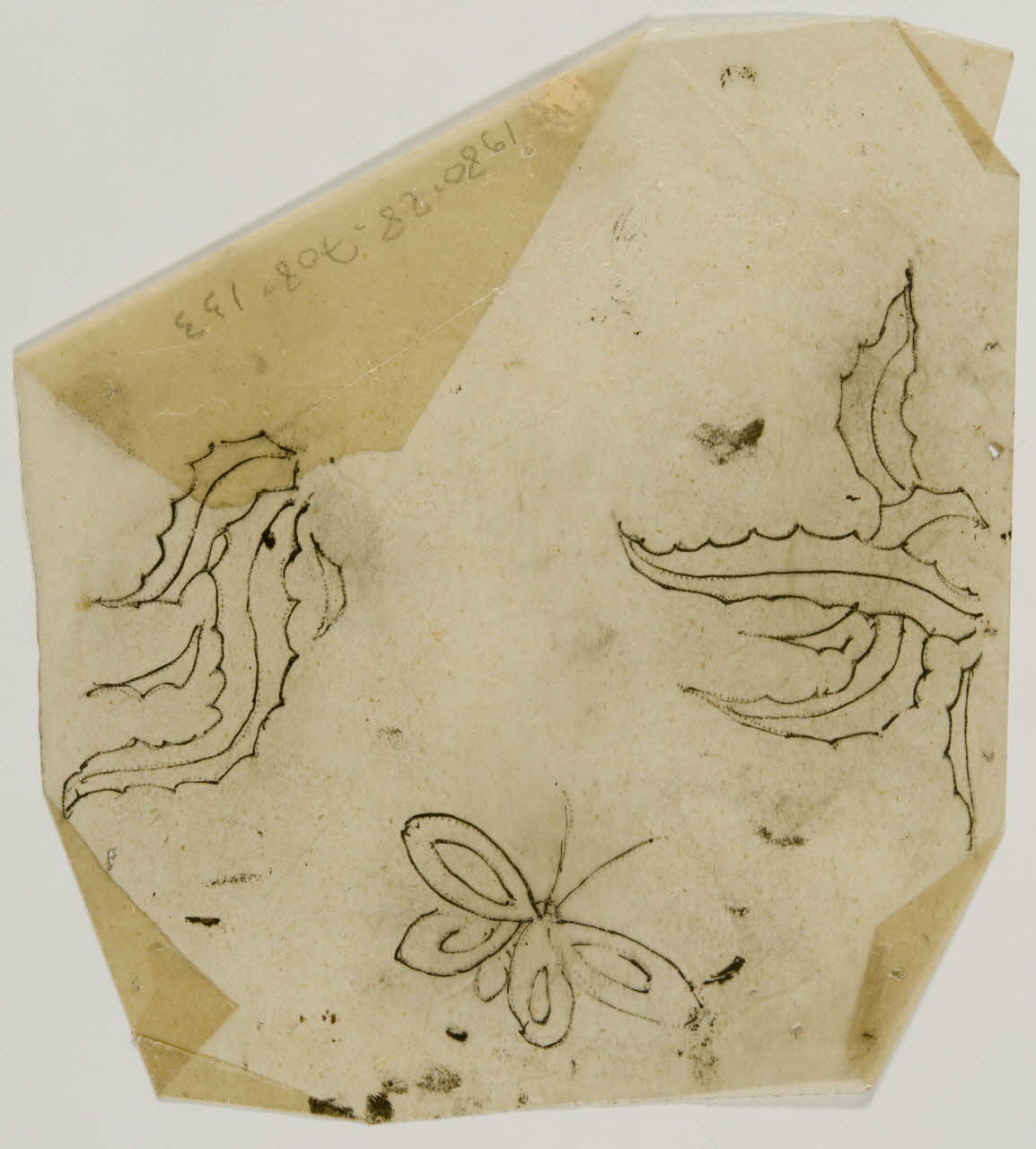 dessin Poncif représentant un papillon 1980.28.708.133 Photo