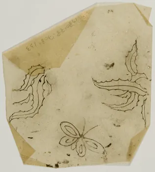 dessin Poncif représentant un papillon 1980.28.708.133 Photo