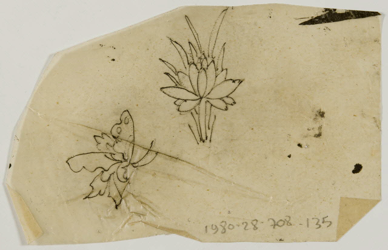 dessin Poncif à motif végétal 1980.28.708.135 Photo