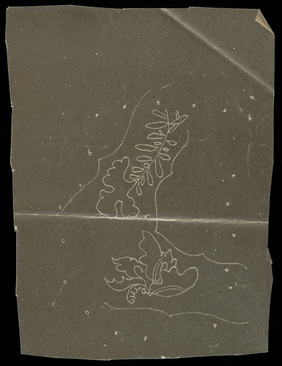 dessin Poncif à motif végétal 1980.28.708.151 Photo