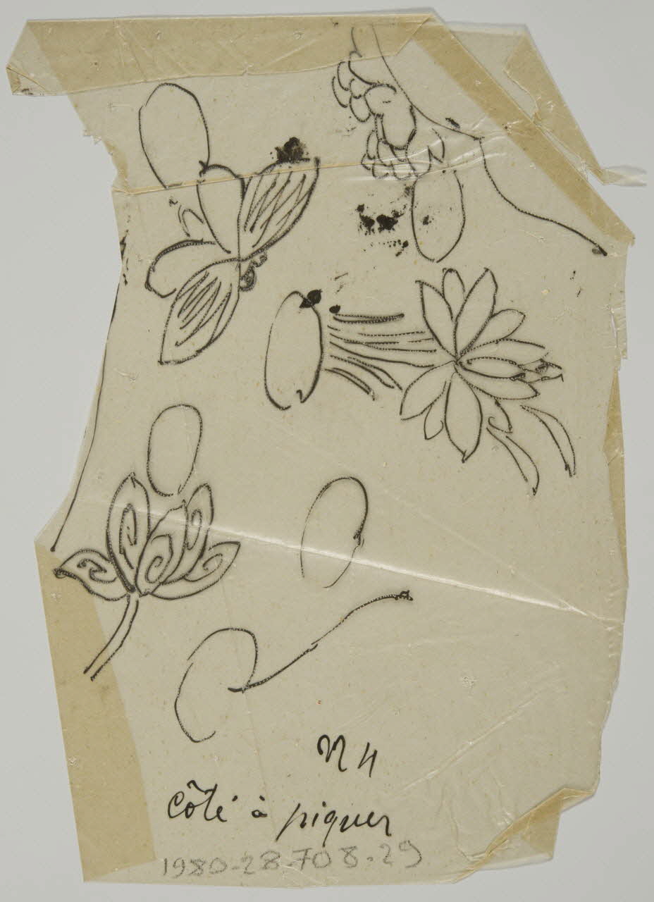 dessin Poncif à motifs végétaux 1980.28.708.29 Photo