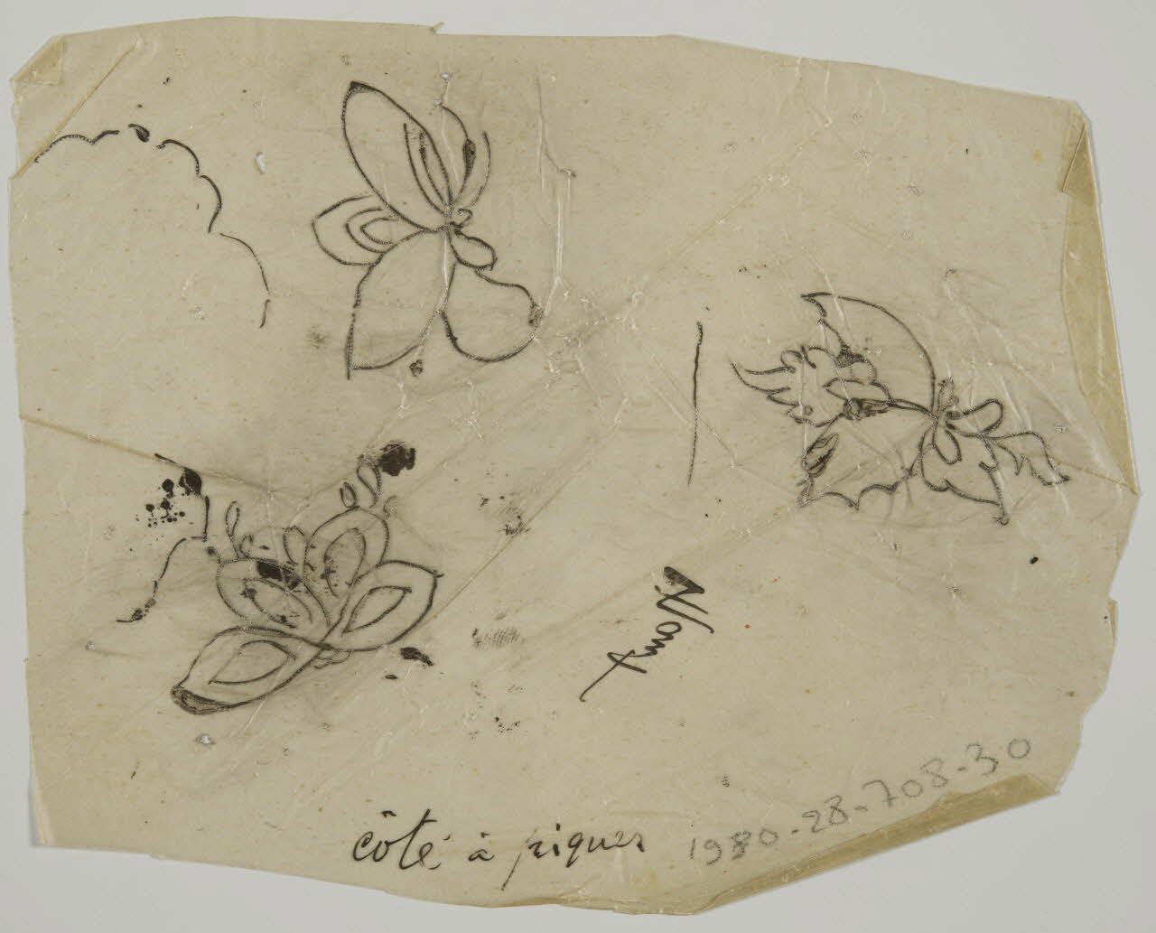 dessin Poncif à motifs végétaux 1980.28.708.30 Photo