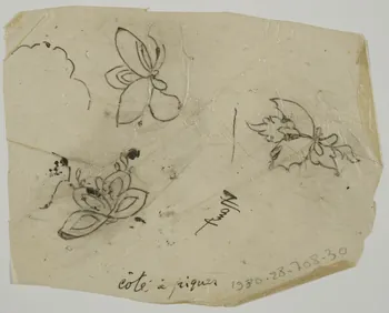 dessin Poncif à motifs végétaux 1980.28.708.30 Photo