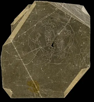 dessin Poncif à motifs végétaux 1980.28.708.31 Photo