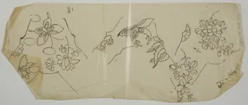 dessin Poncif à motifs végétaux 1980.28.708.35 Photo