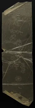 dessin Poncif à motifs végétaux 1980.28.708.36 Photo