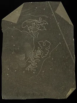 dessin Poncif à motifs végétaux 1980.28.708.37 Photo