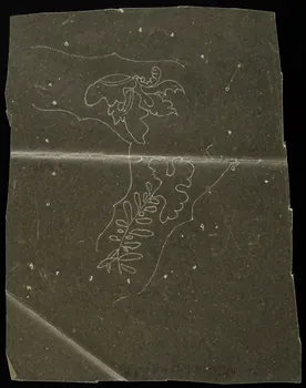 dessin Poncif à motifs végétaux 1980.28.708.41 Photo