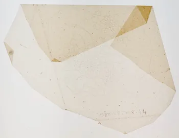 dessin Poncif à motifs végétaux 1980.28.708.44 Photo