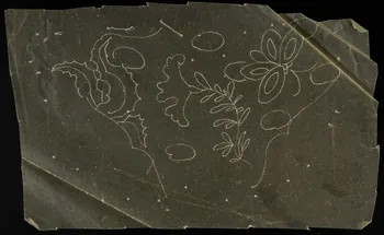 dessin Poncif à motifs végétaux 1980.28.708.48 Photo