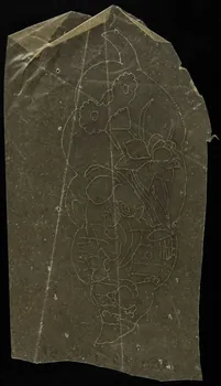 dessin Poncif à motifs végétaux 1980.28.708.51 Photo