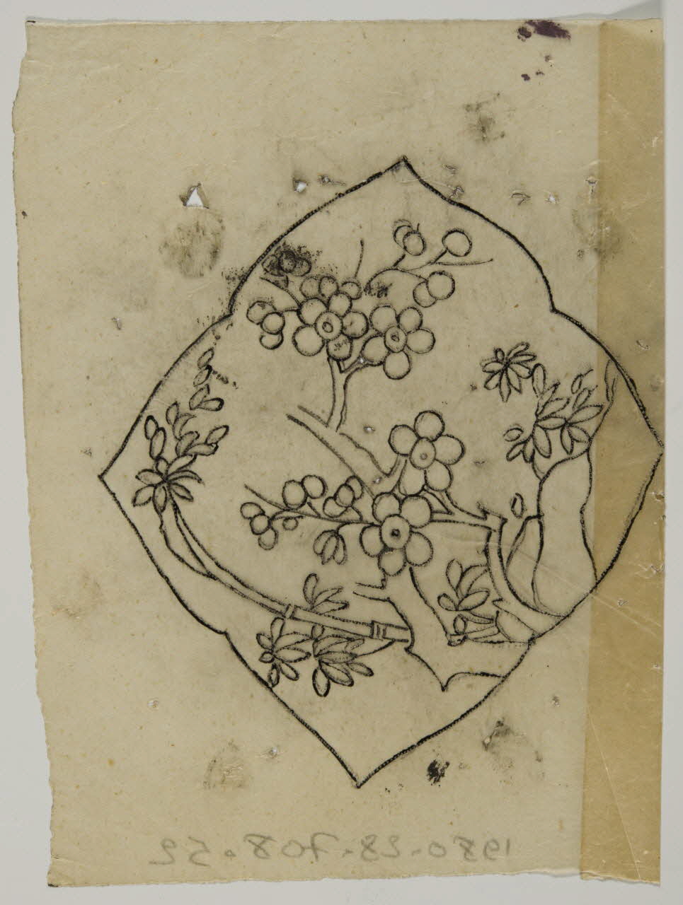 dessin Poncif à motifs végétaux 1980.28.708.52 Photo