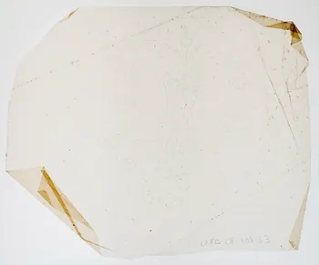 dessin Poncif 1980.28.708.53 Photo