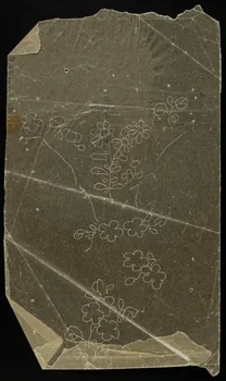 dessin Poncif à motif végétal 1980.28.708.62 Photo
