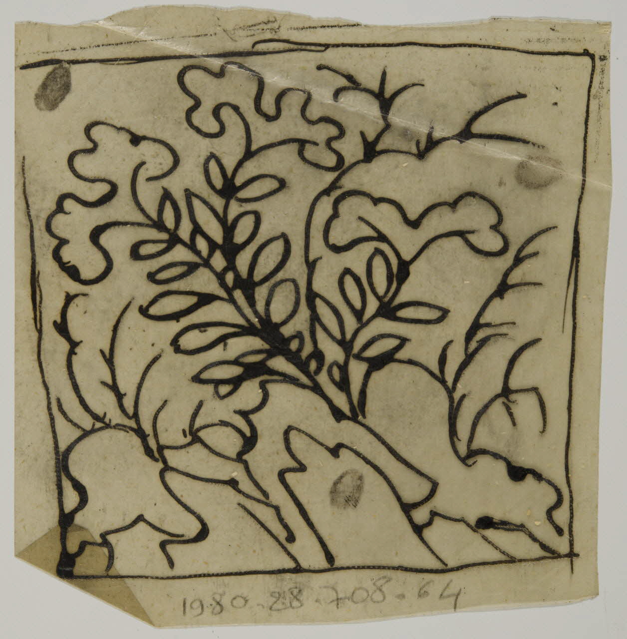 dessin Poncif à motif végétal 1980.28.708.64 Photo