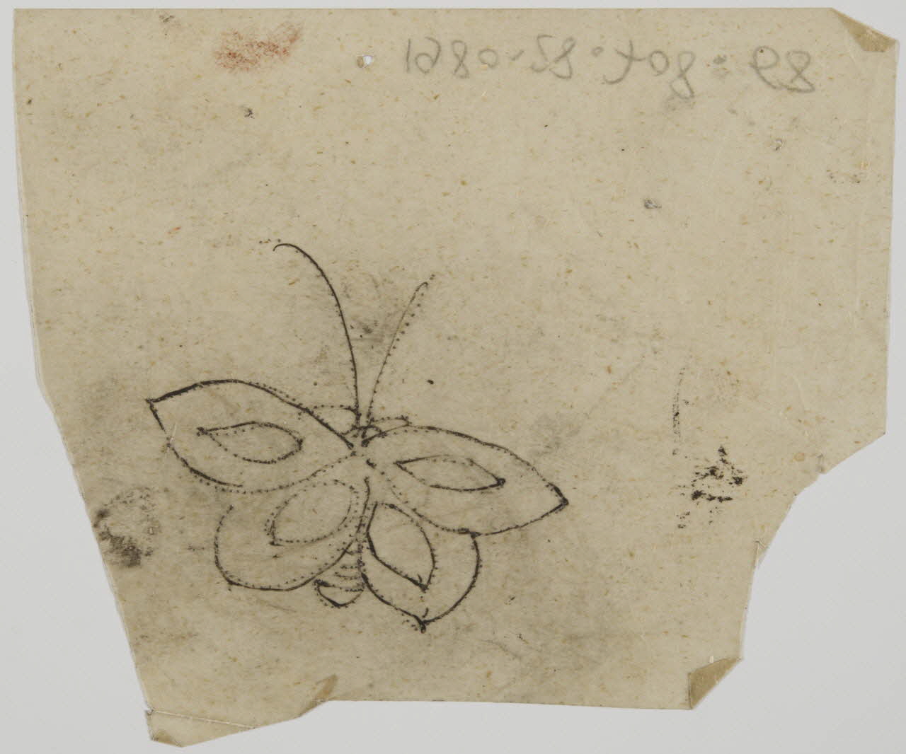 dessin Ponci représentant un papillon 1980.28.708.68 Photo