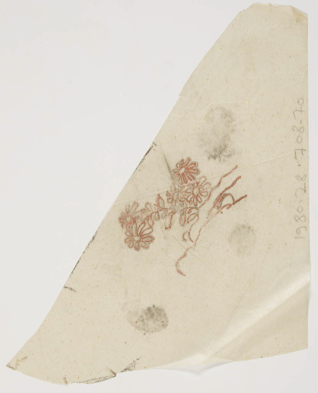 dessin Poncif à motif végétal 1980.28.708.70 Photo