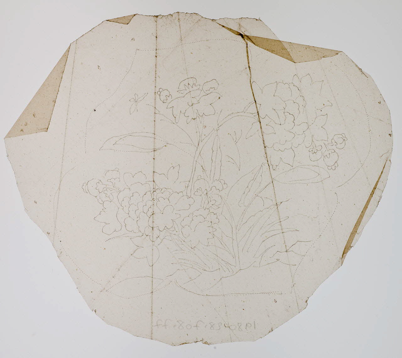 dessin Poncif à motif végétal 1980.28.708.77 Photo