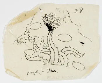 dessin Poncif à motif végétal 1980.28.708.89 Photo