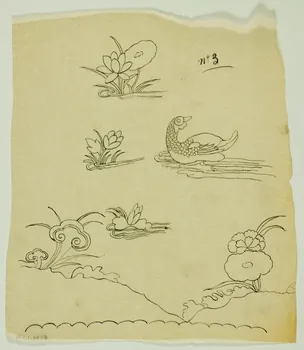 dessin Canard 1980.28.715.61  Photo