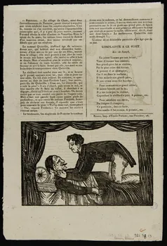 Emile Périaux canard Les suites d'un Mariage d'inclination Rouen 1837-1855 1981.38.13  Photo