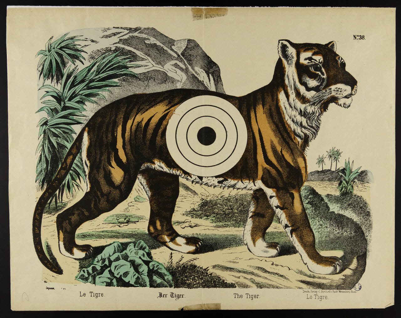 estampe Le Tigre. 1982.3.171 Photo