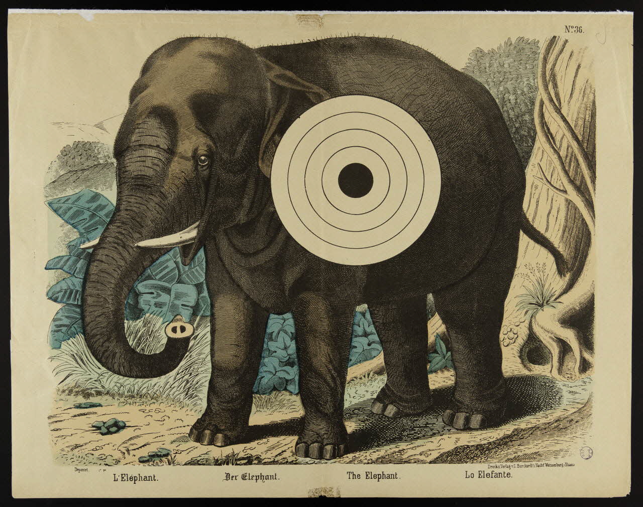 estampe L'Eléphant. 1982.3.172 Photo