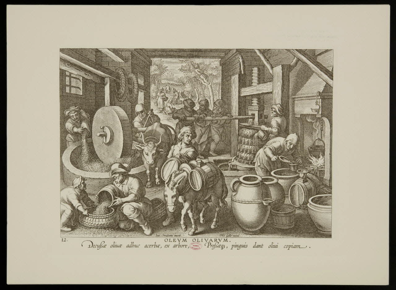 estampe OLEUM OLIVARUM. 1988.35.37 Photo